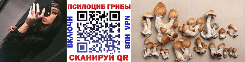 Галлюциногенные грибы Magic Shrooms  Мышкин 