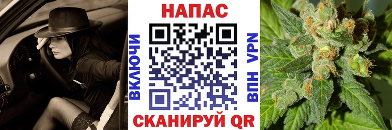 МЕГА онион  Мышкин  МАРИХУАНА сатива 